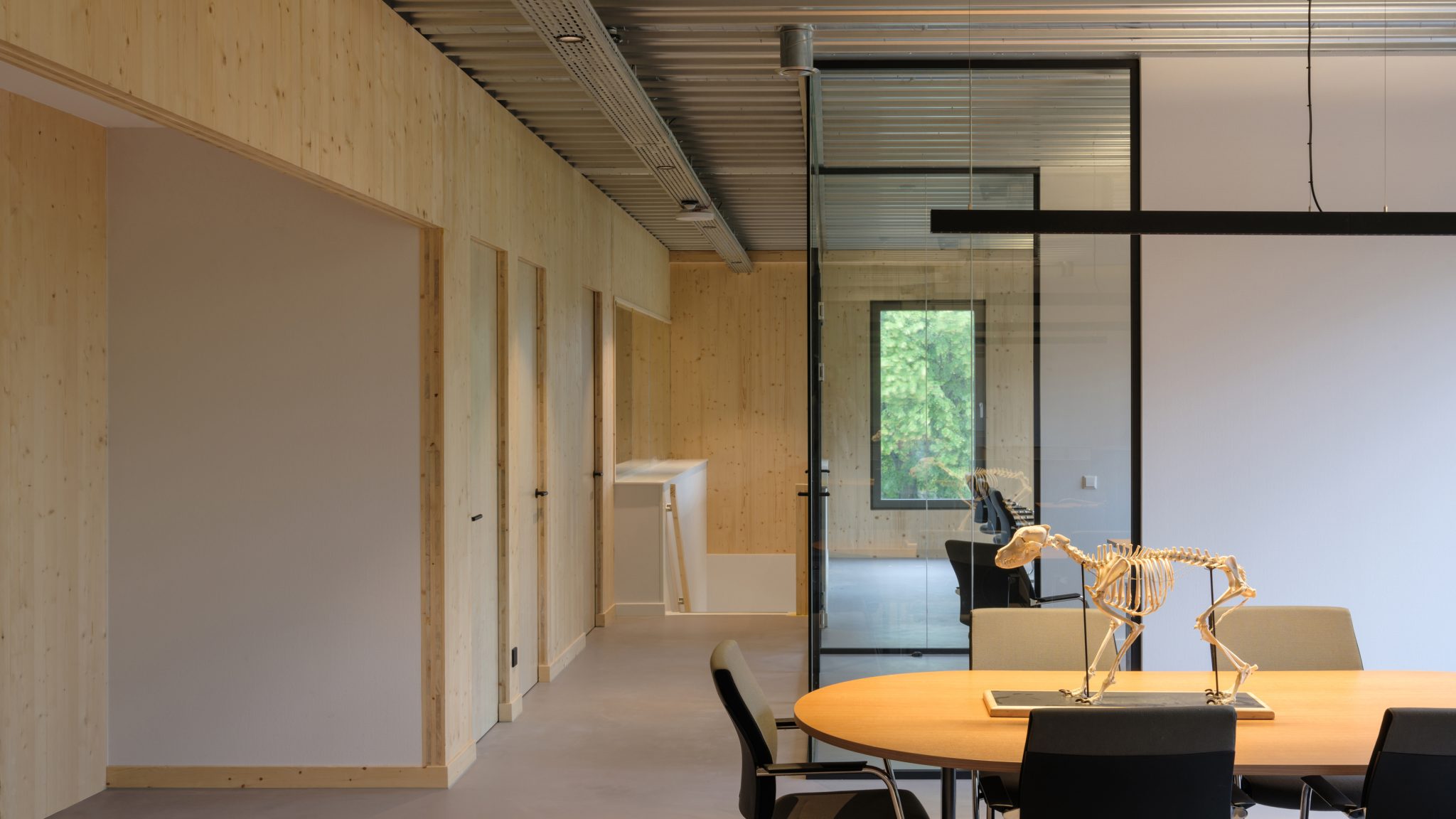 Office workspace overview with social space black kitchen and CLT wood walls view. Veterinary clinic design for Anicure ‘t Leidse Land in Leiderdorp, designed and built by MOST Architecture, Rotterdam