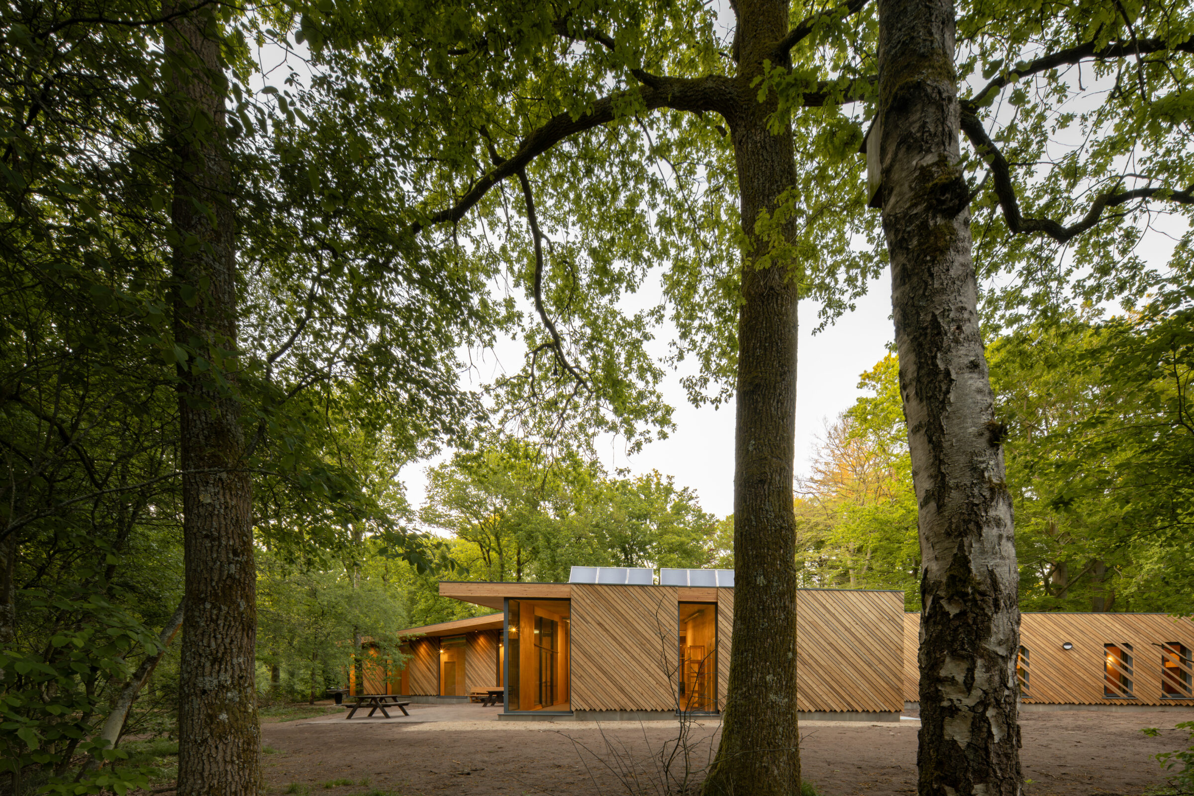 Forest Scouting Baarn natuur houten gevel MOST Architecture