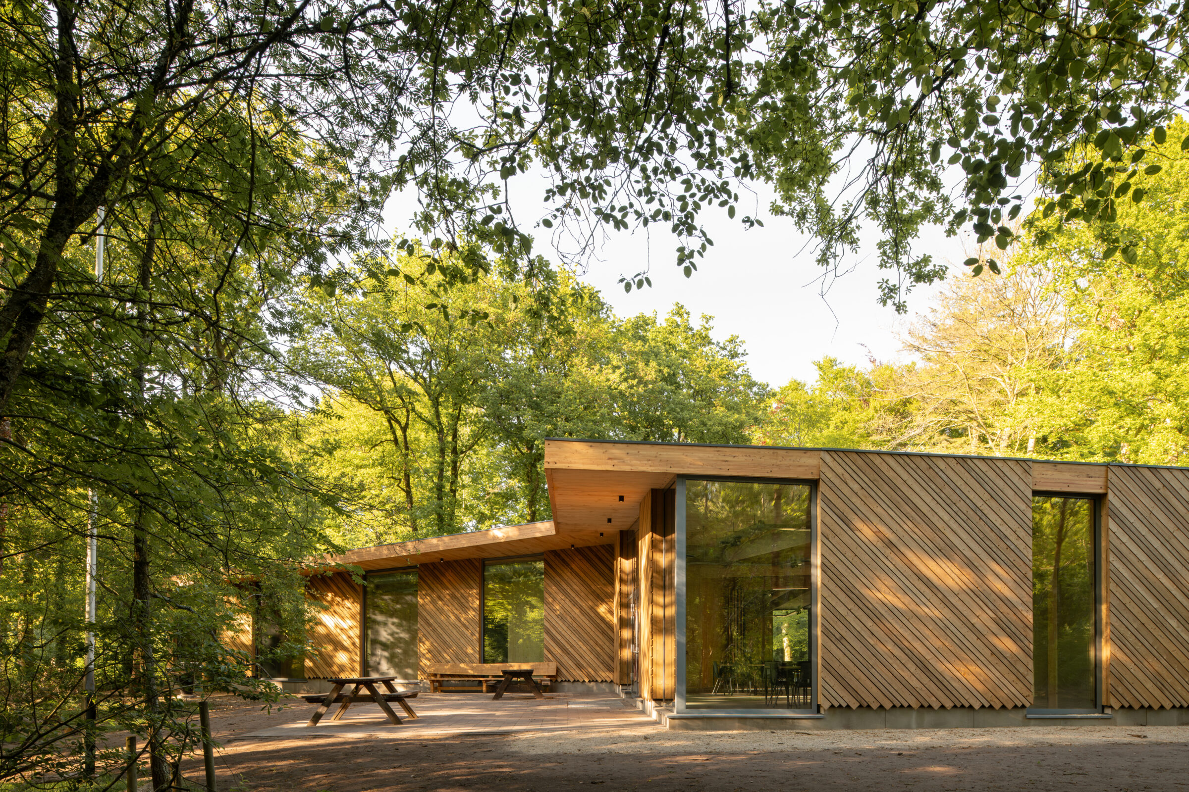 Scoutcentre Buitenzorg Baarn houten gebouw is bos_MOST Architecture © Aiste Rakauskaite